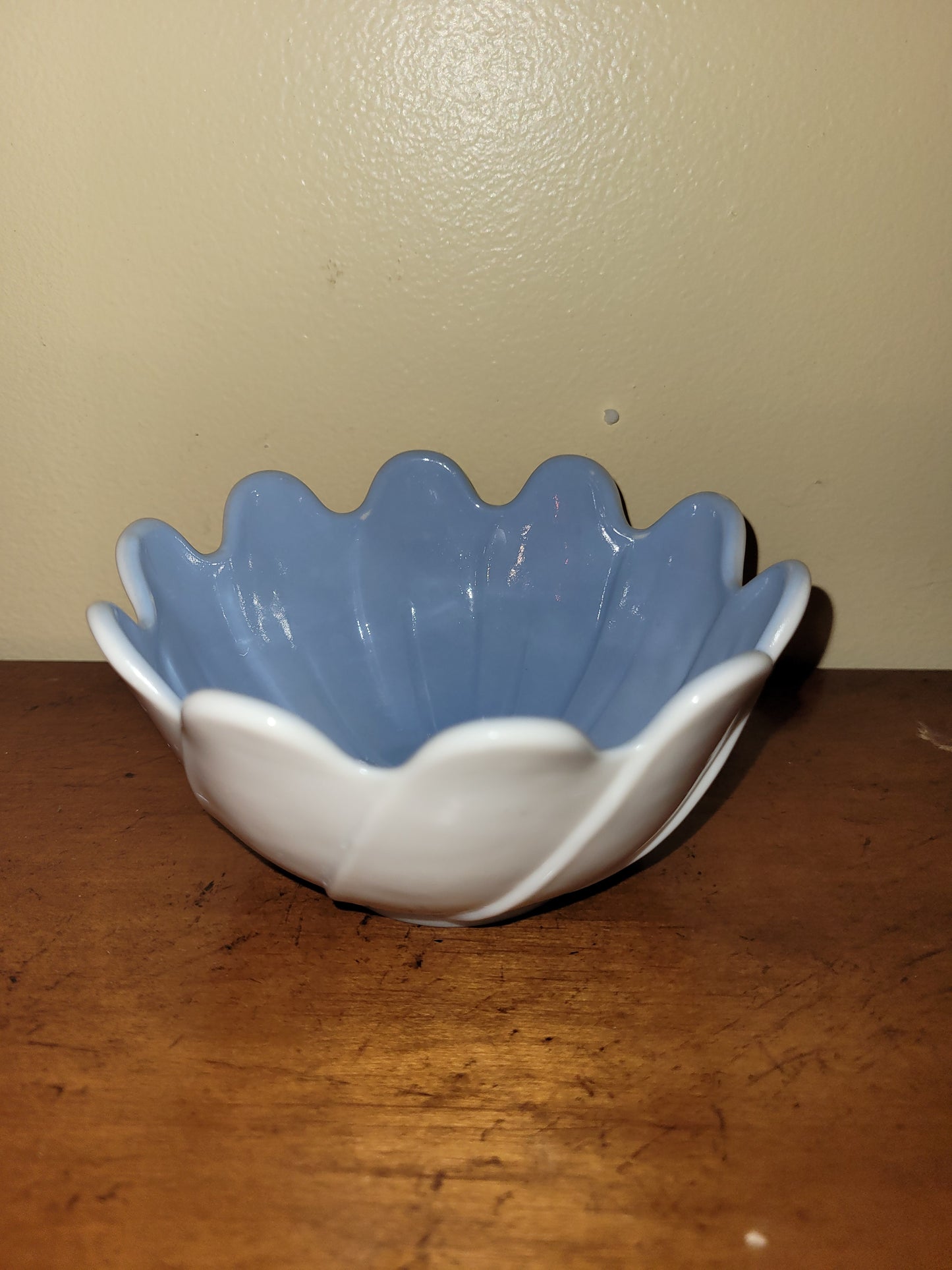 Blue and White Bowl Container