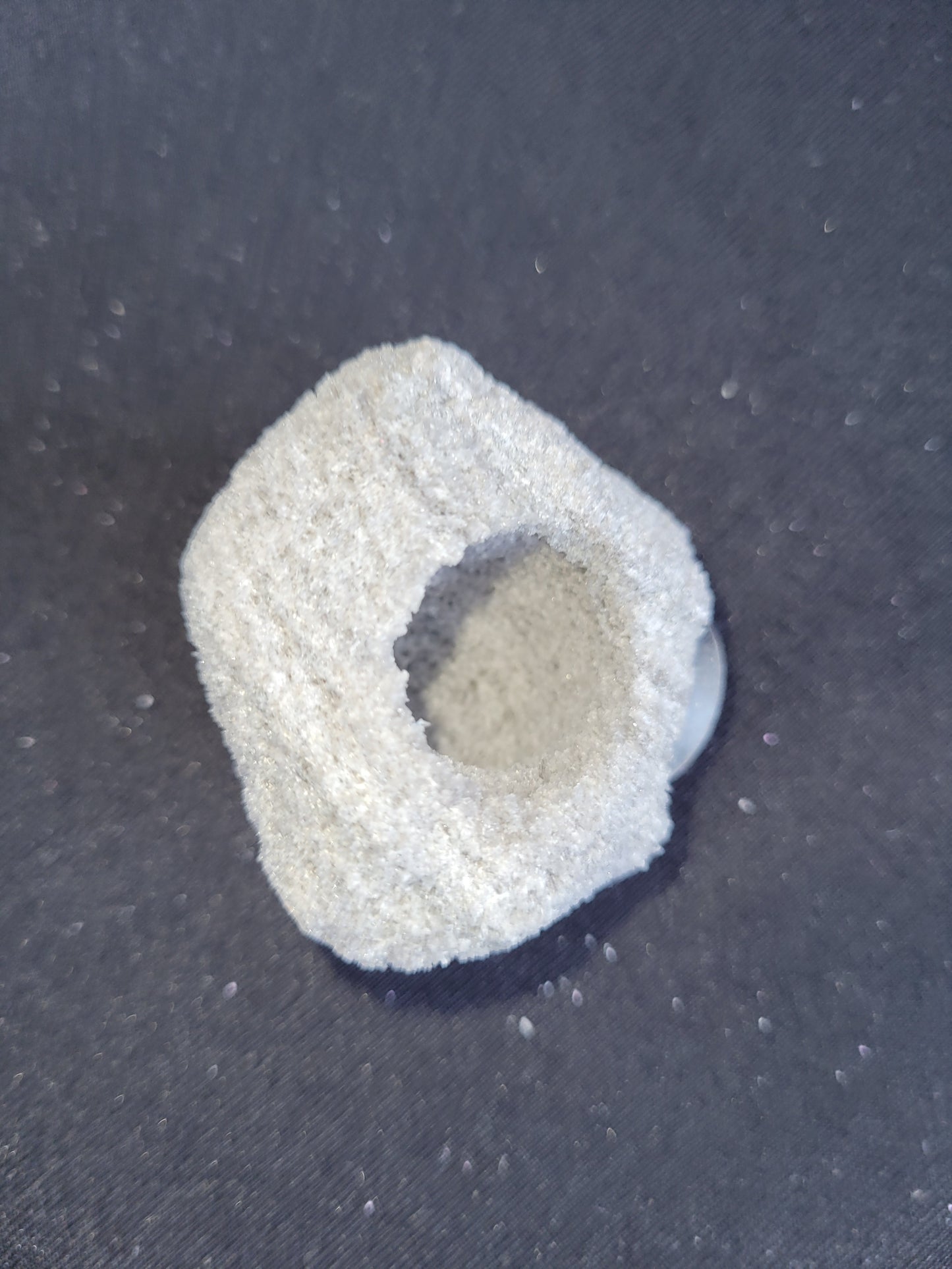 Feather Rock Magnet