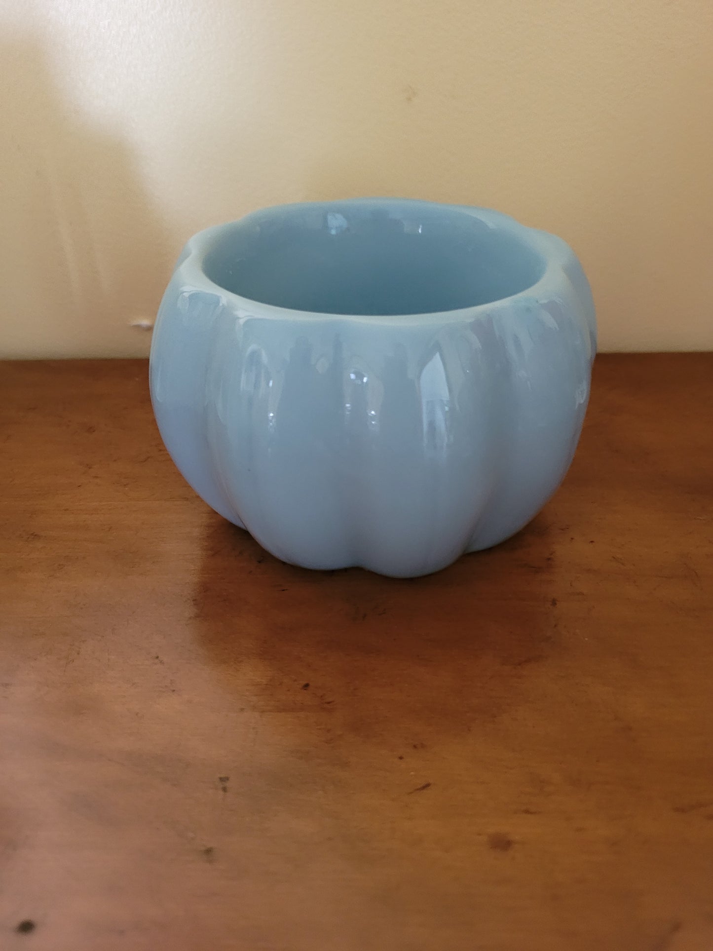 Light Blue Bowl Container