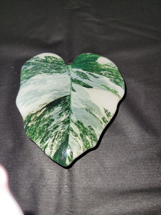 Alocasia Dawn Leaf Phone Grip