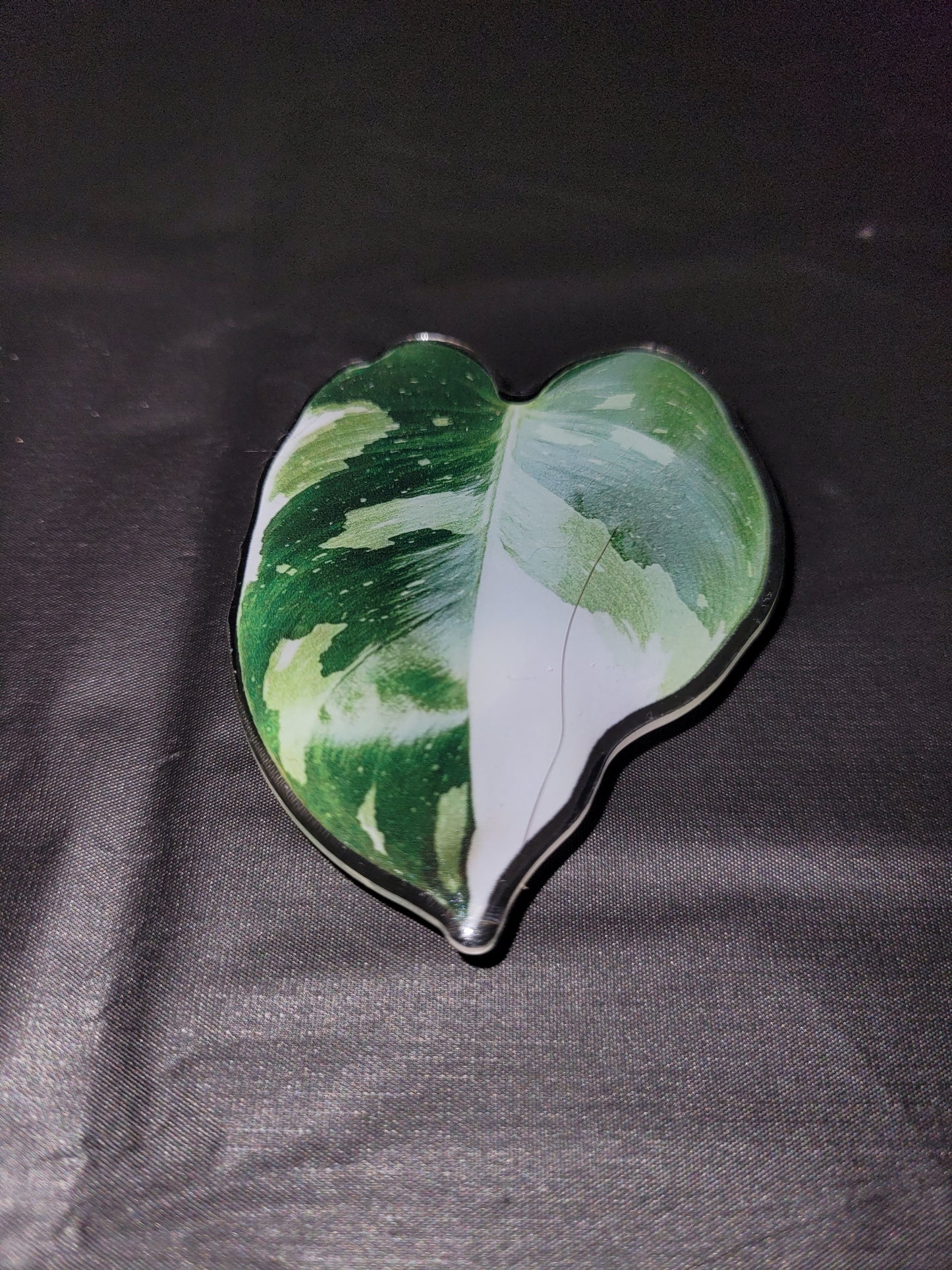 Monstera Verigated Leaf Phone Grip