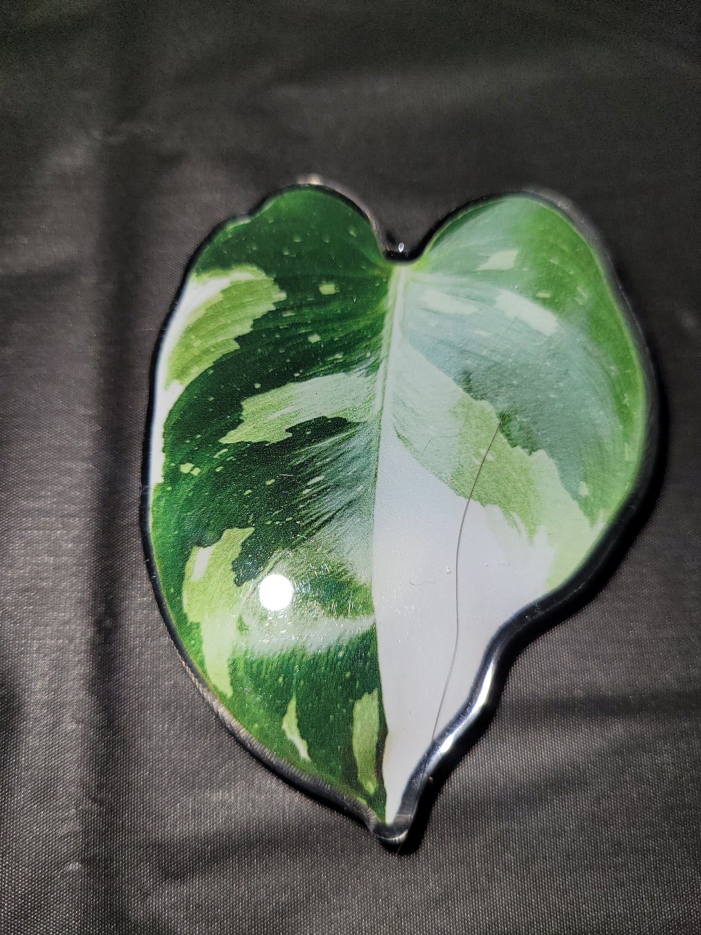Monstera Verigated Leaf Phone Grip