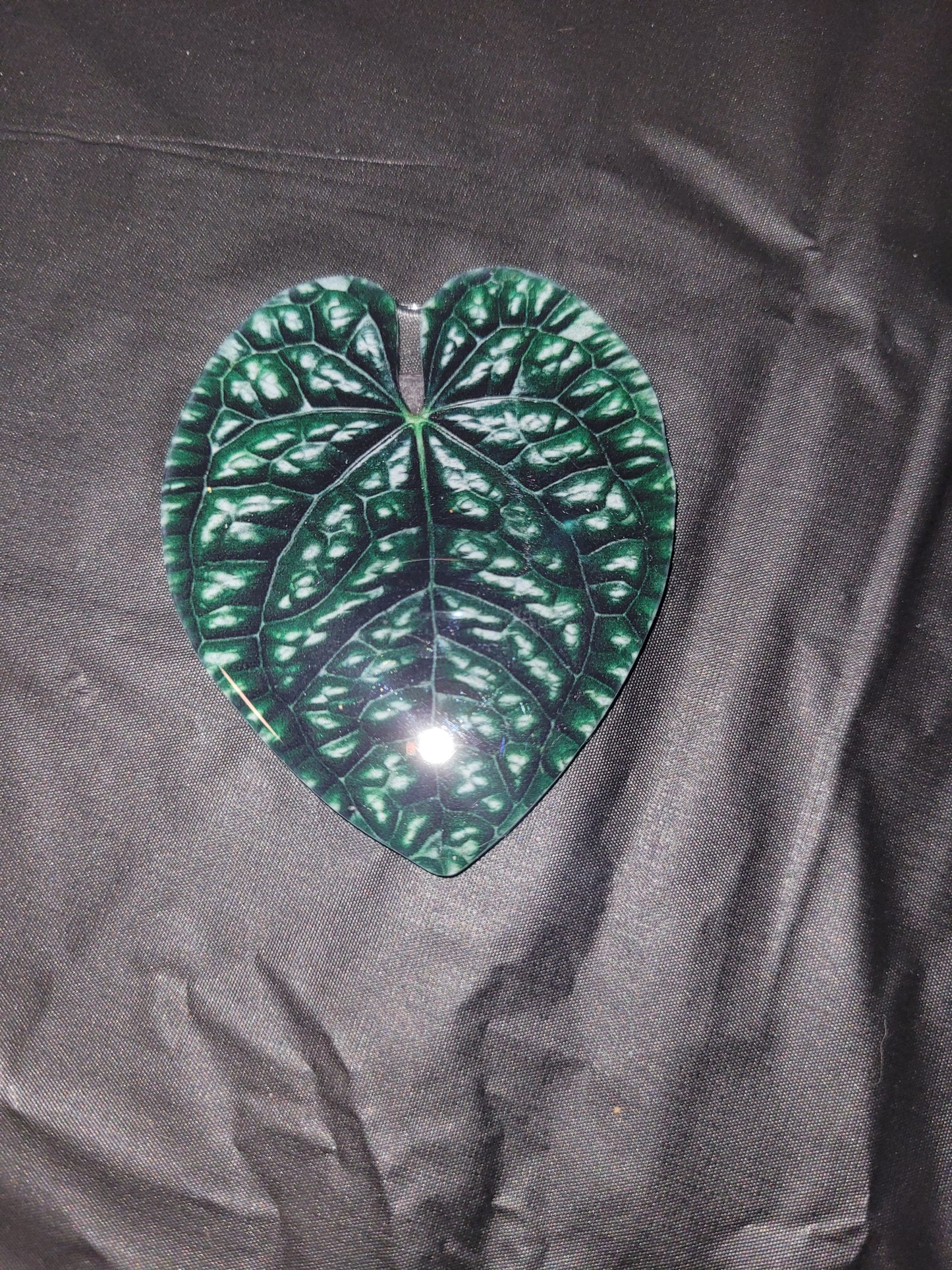 Anthurium Leaf Magnet