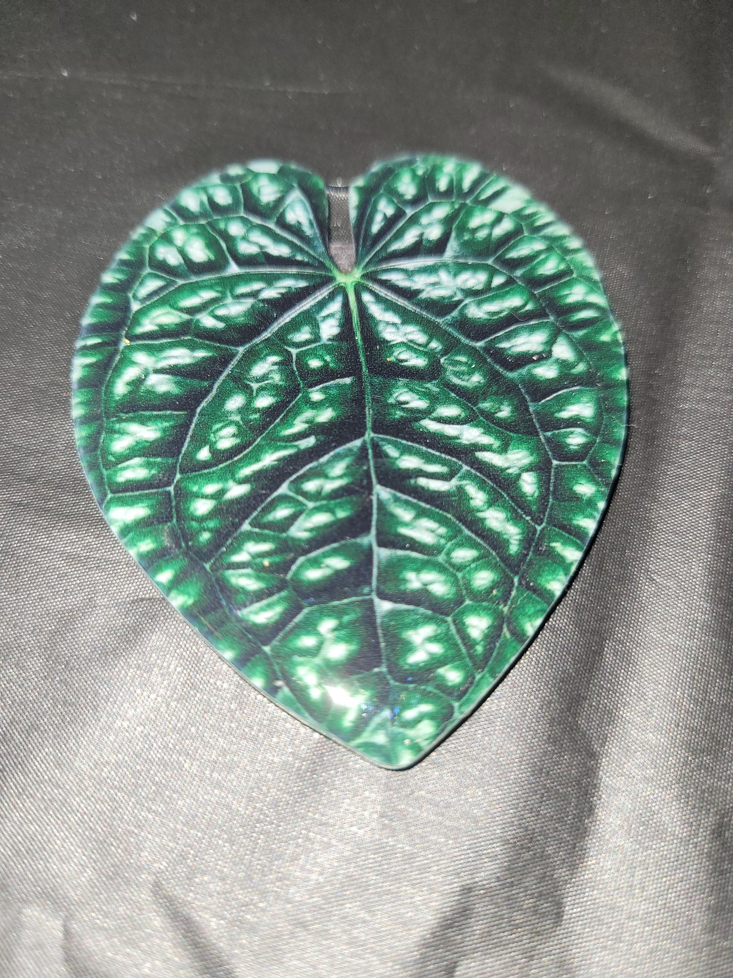 Anthurium Leaf Magnet