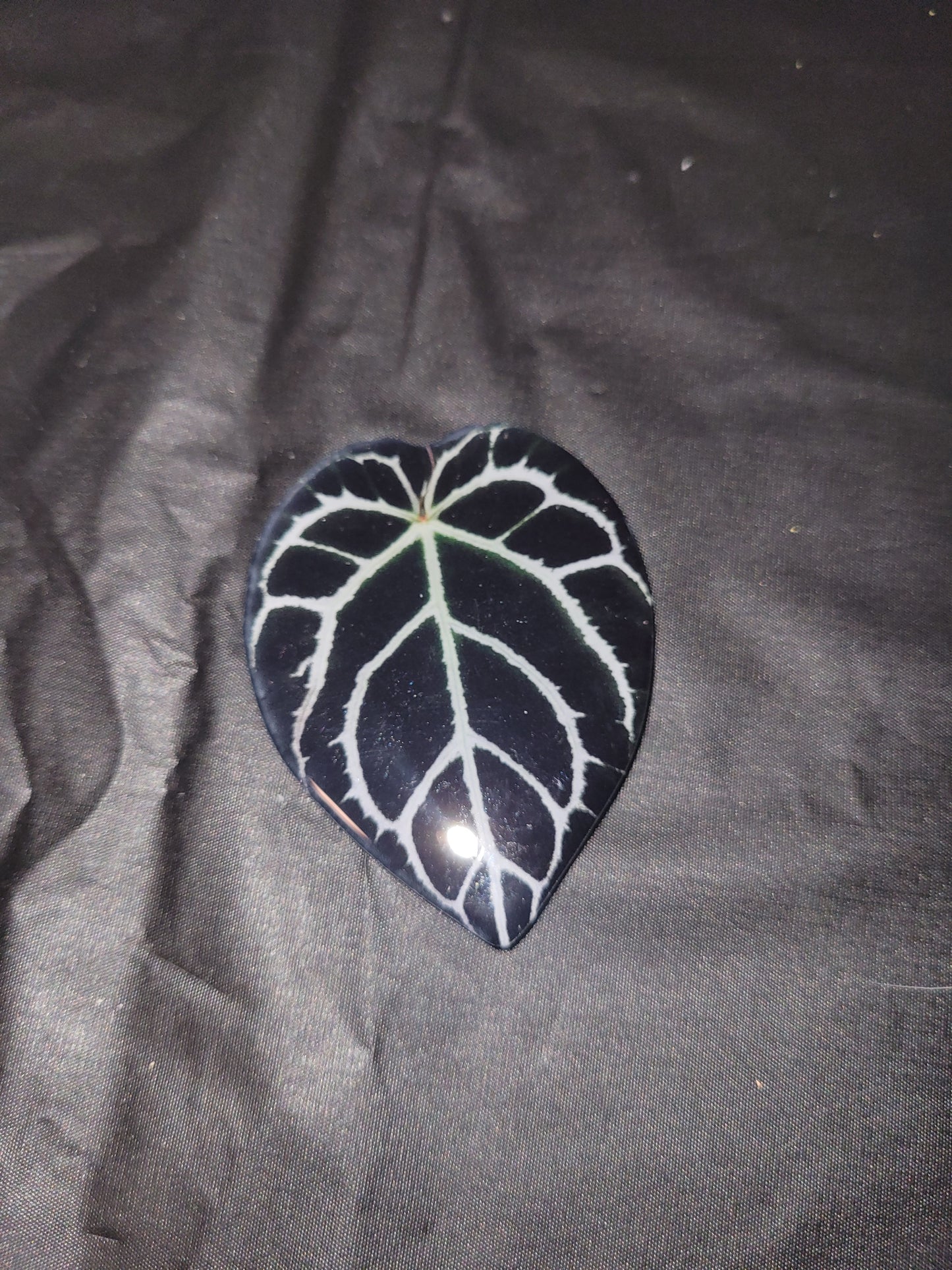 Anthurium Leaf Magnet