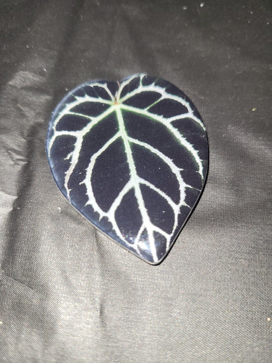 Anthurium Leaf Magnet