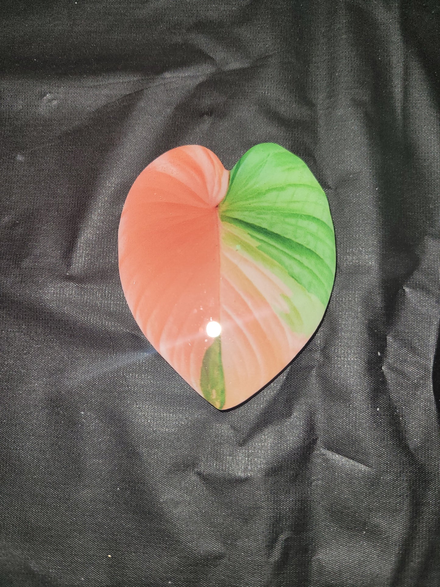 Tropical Monstera Anthurium Magnet