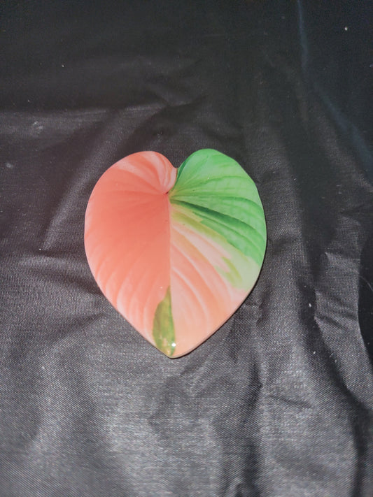 Tropical Monstera Anthurium Magnet