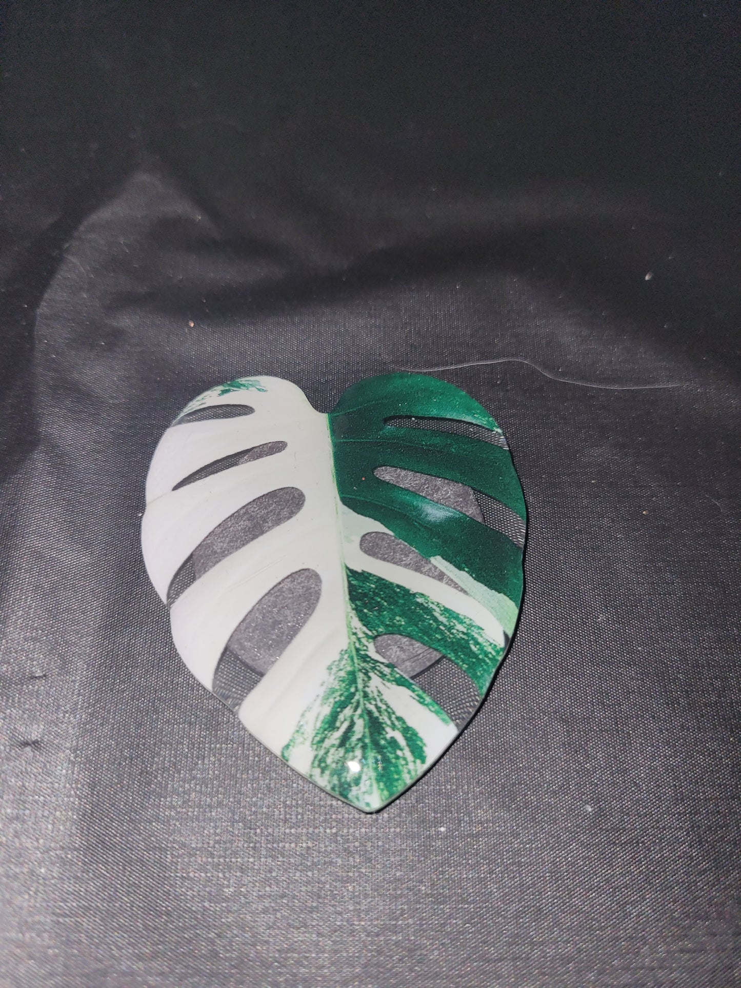 Ghost Monstera Leaf Magnet