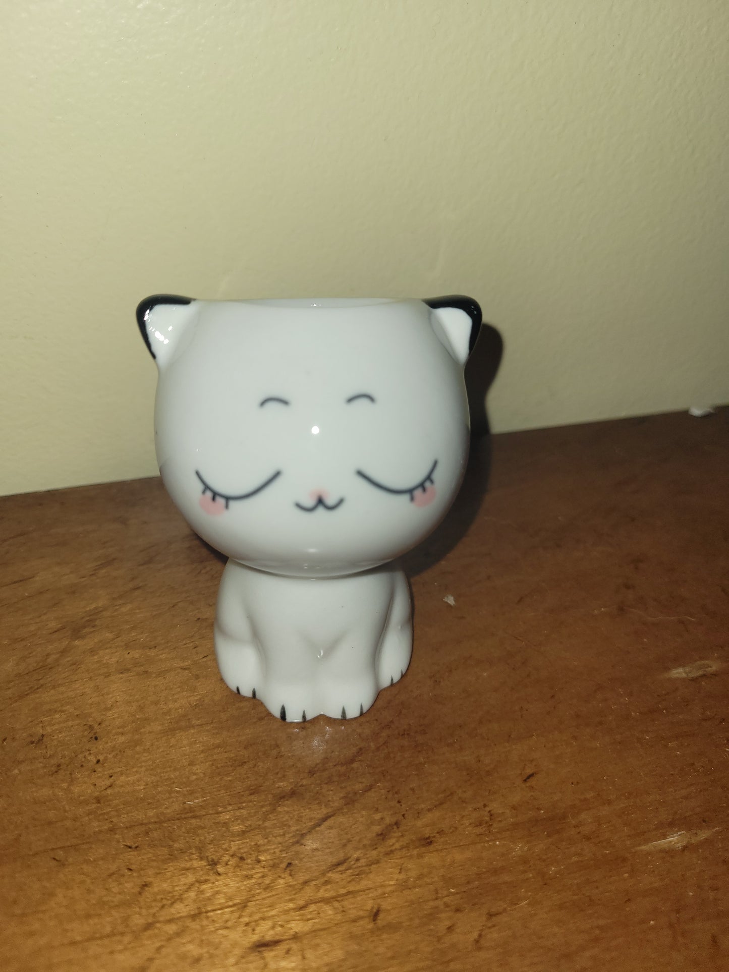 Tall Ceramic Cartoon Cat Container