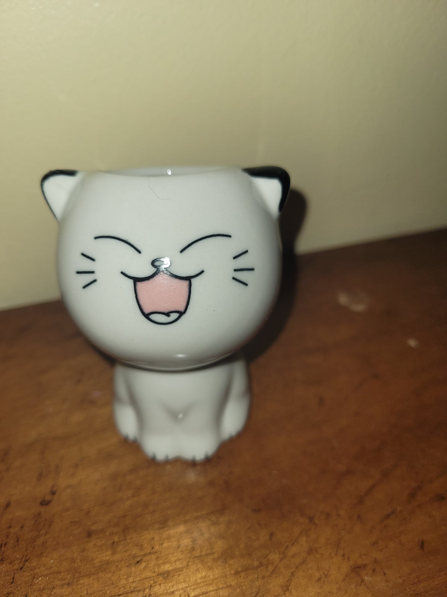 Tall Ceramic Cartoon Cat Container