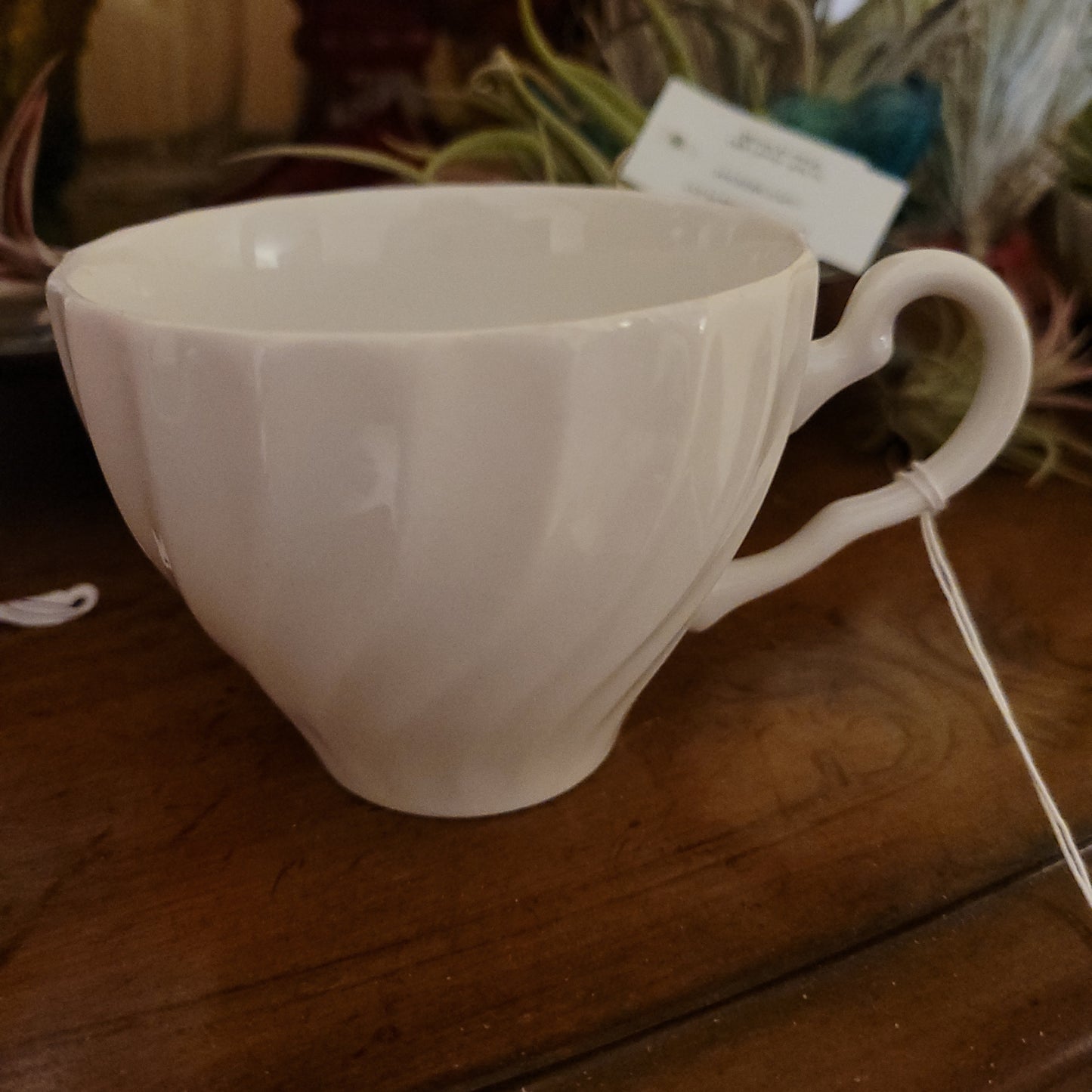 White Coffee Swirl Cup Air Plant Holder