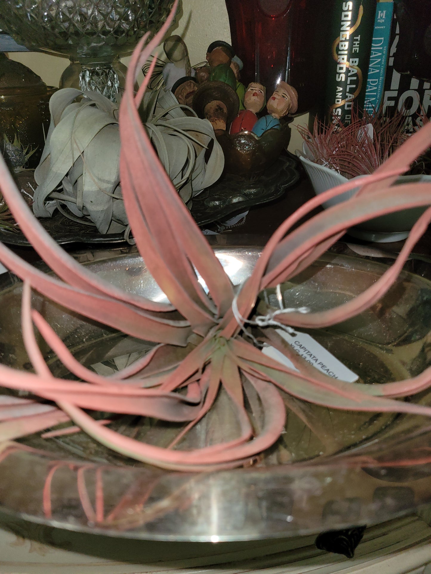 Capitata Peach