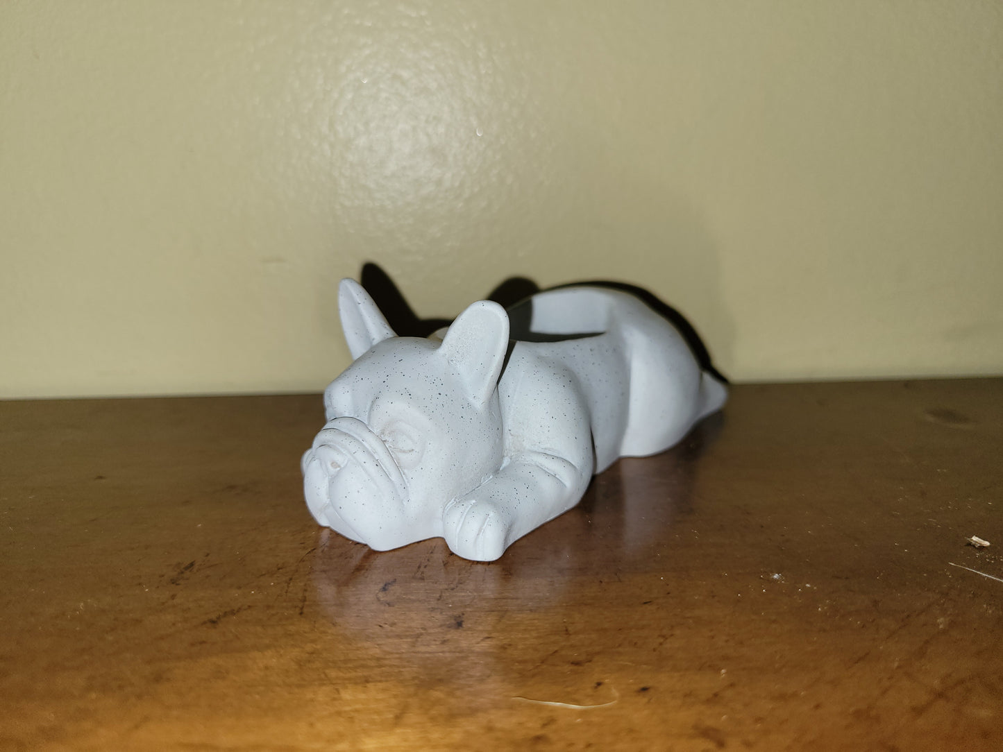 French Bulldog White