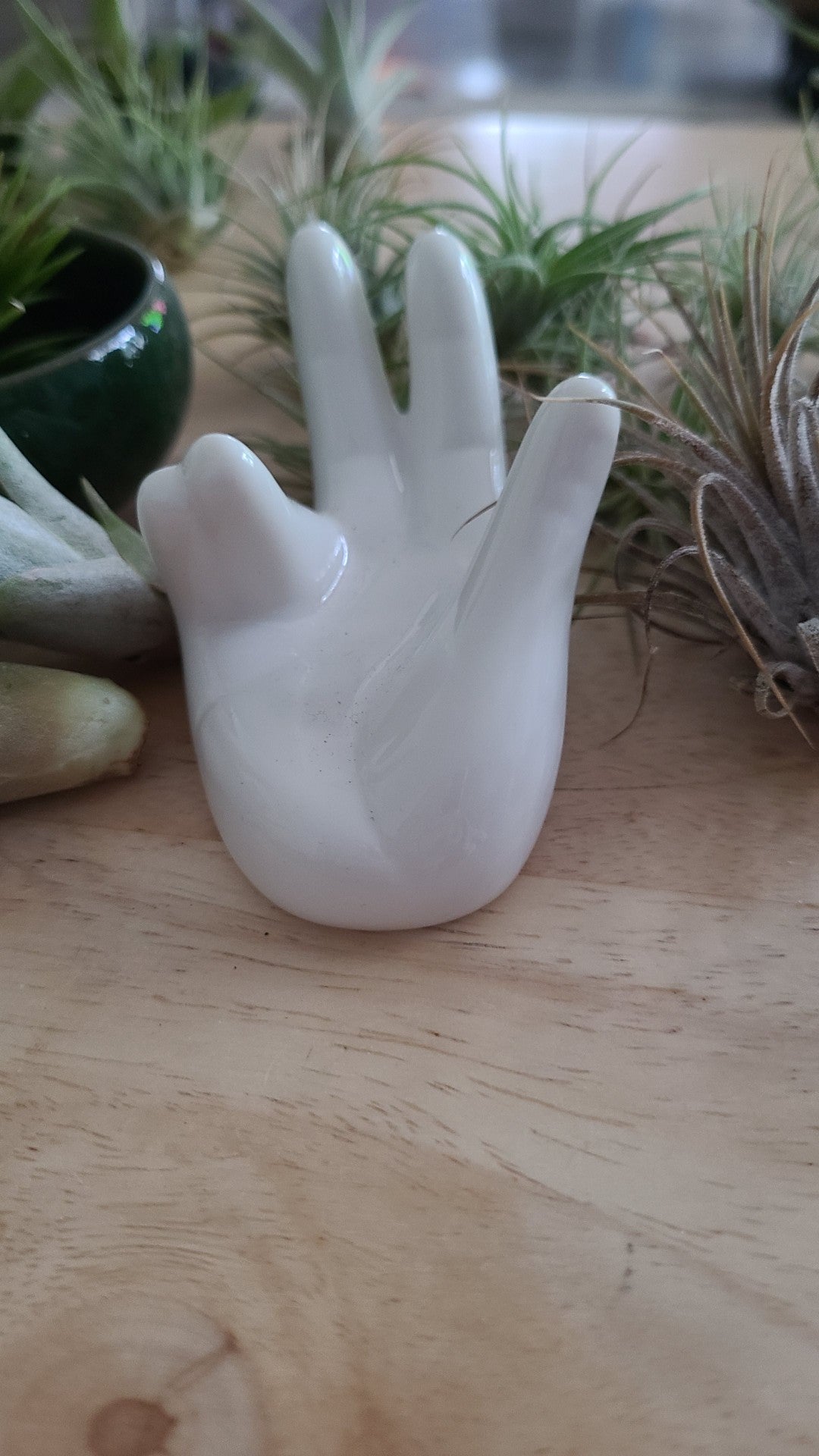 White Hand Air Plant Holder