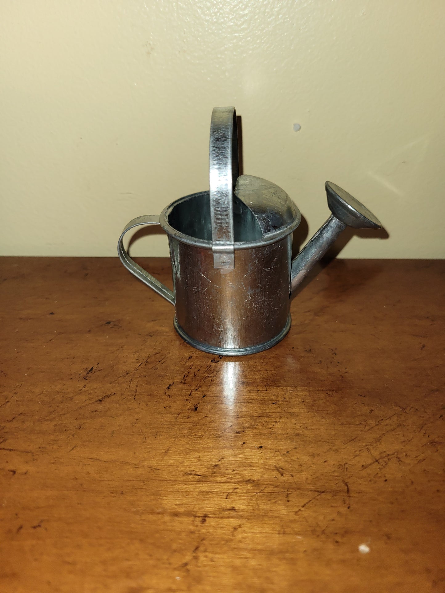 Metal Watering Can Container