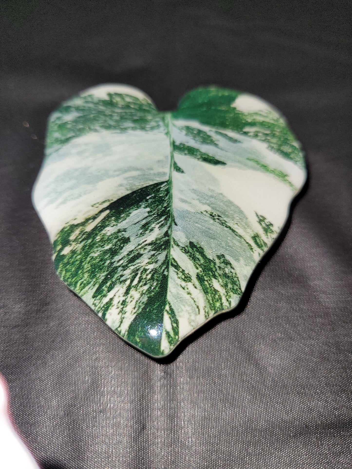 Alocasia Dawn Leaf Phone Grip