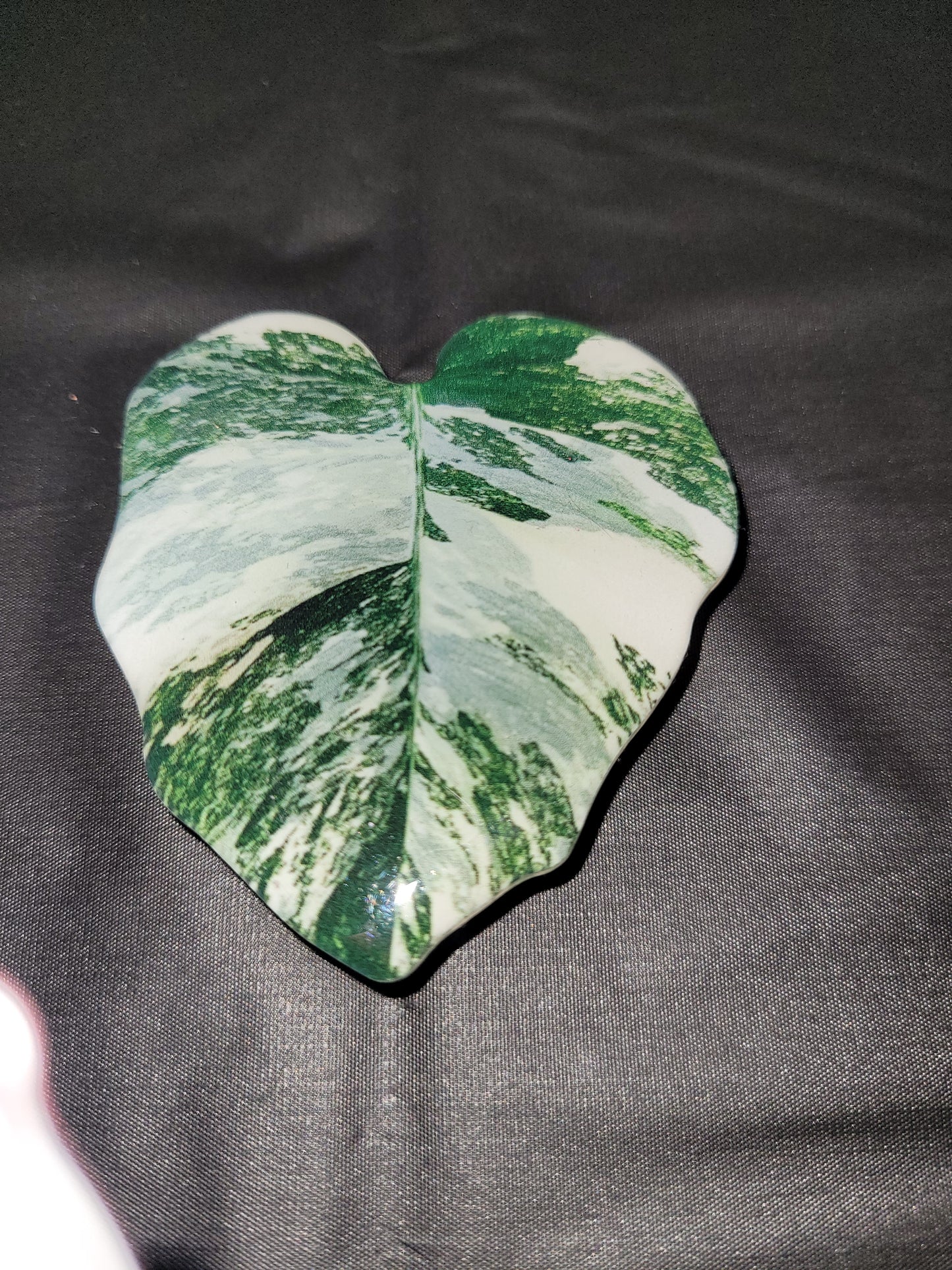 Alocasia Dawn Leaf Phone Grip