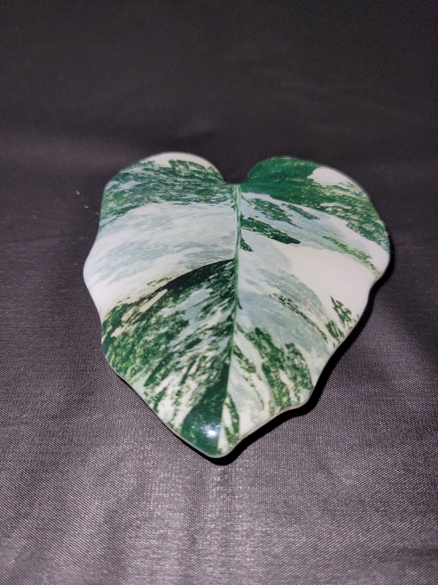 Alocasia Dawn Leaf Phone Grip