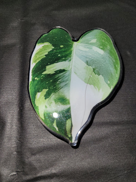 Monstera Verigated Leaf Phone Grip