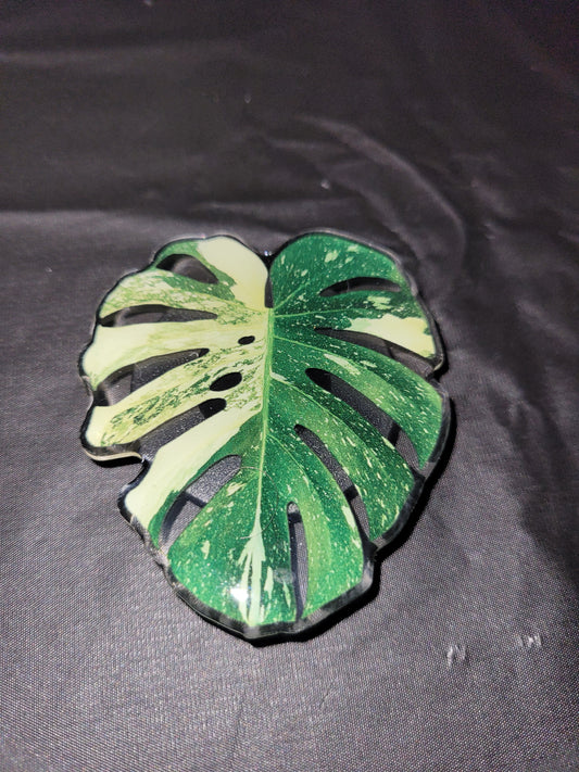 Monstera Leaf Magnet