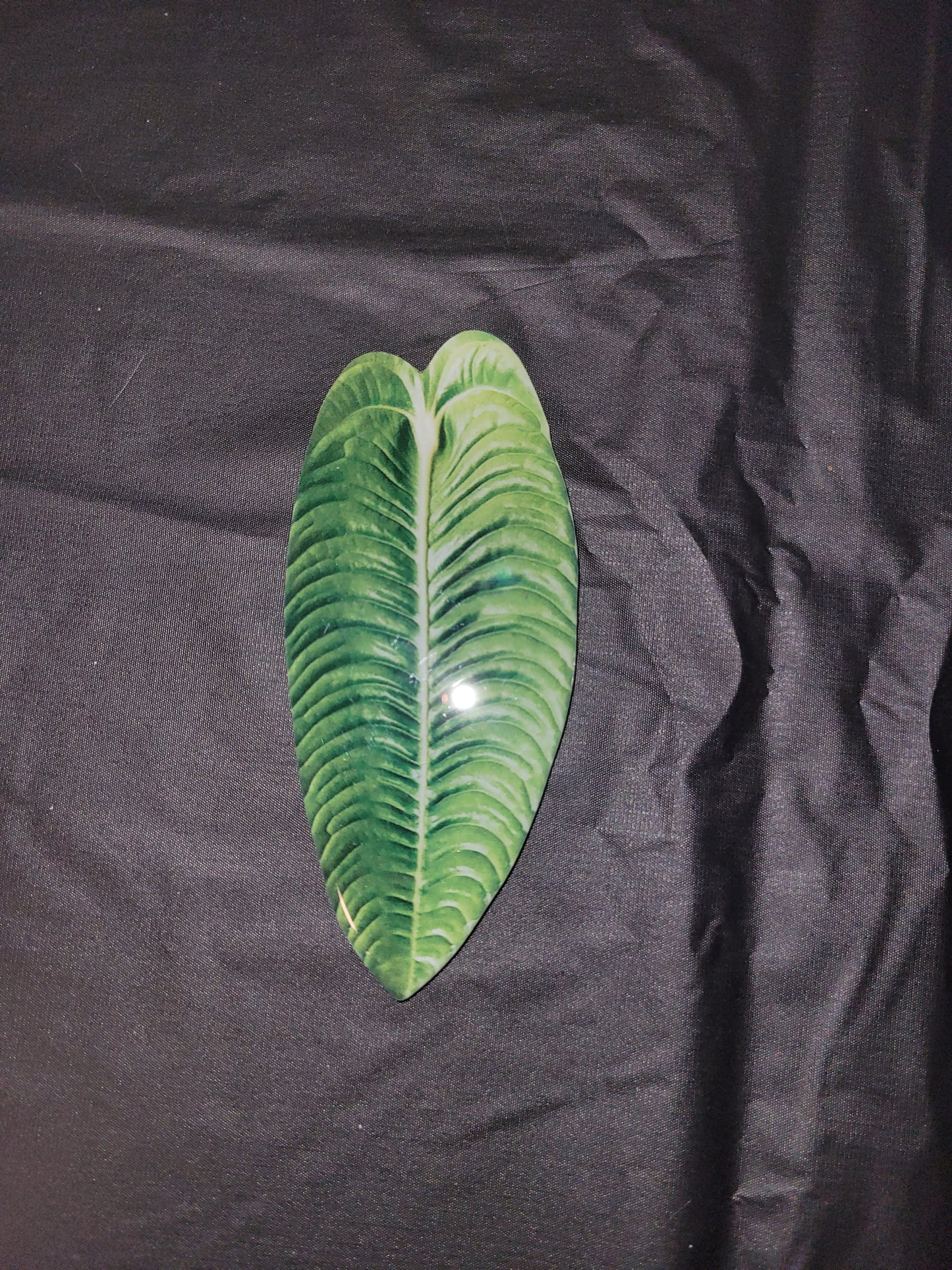 Banana Leaf Magnet