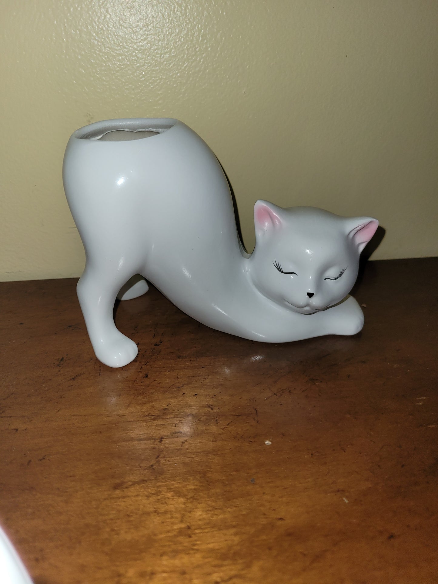 White Cat Container