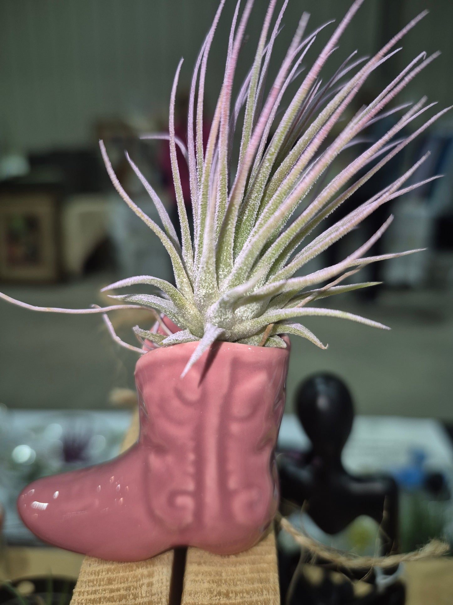Pink Cowboy Boot