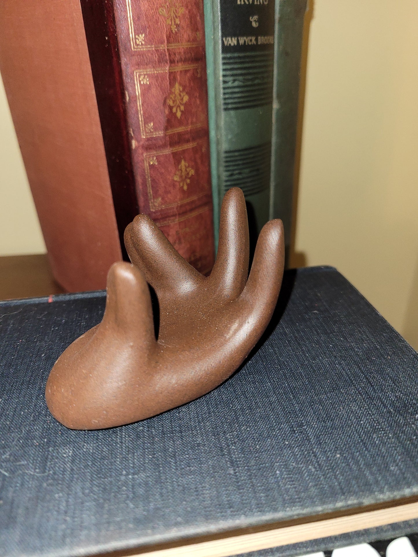 Dark Brown Black Hand Air Plant Holder 05