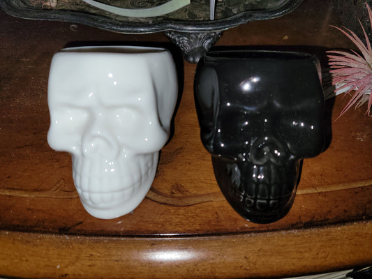 Skull Container