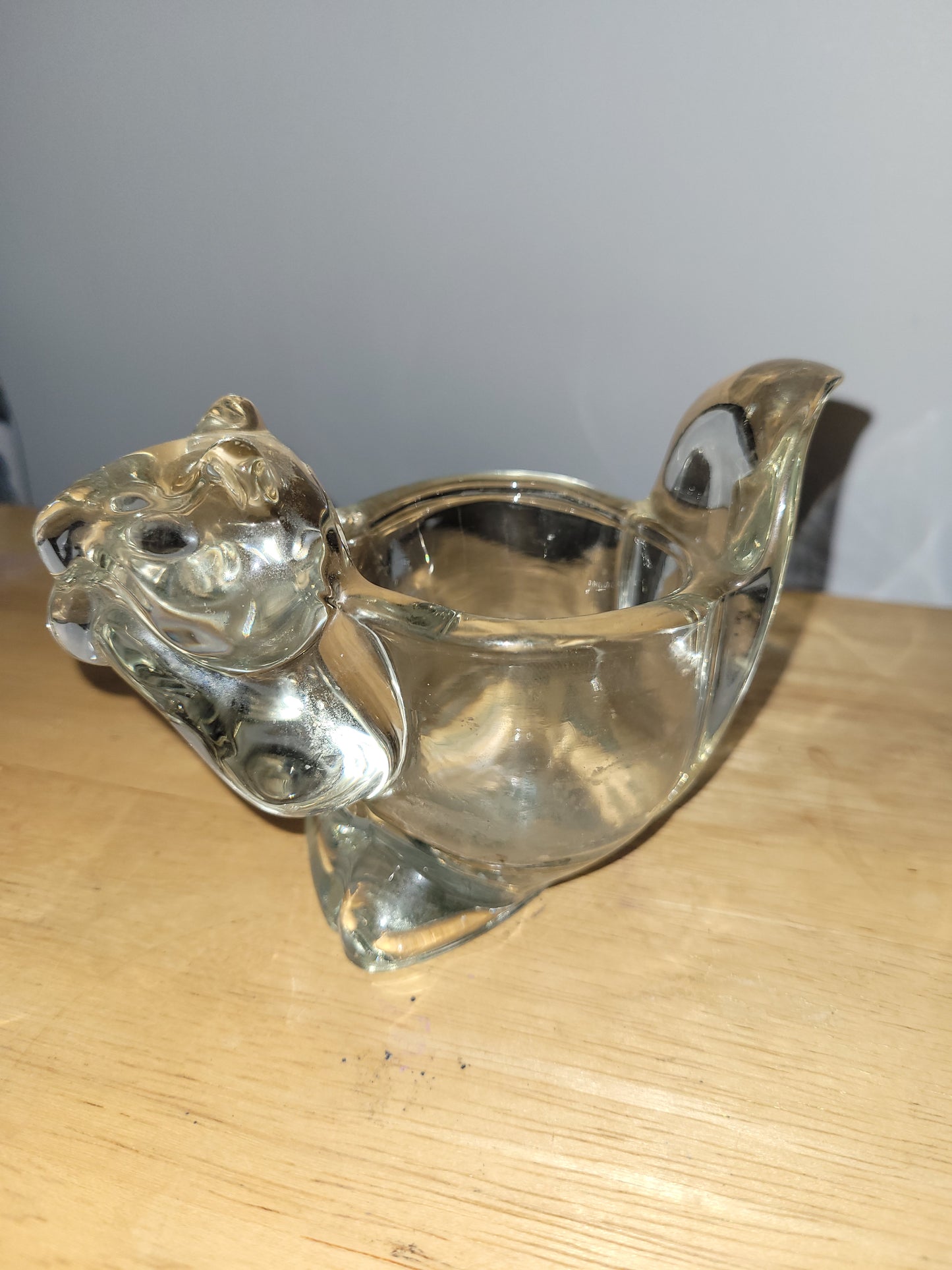 Squirrel Container