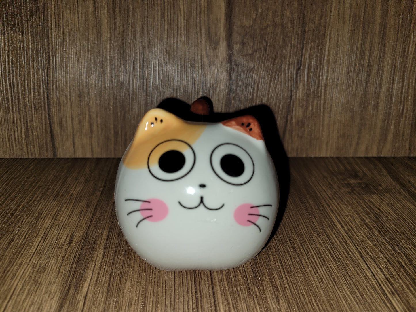 Large Anime Cat Container