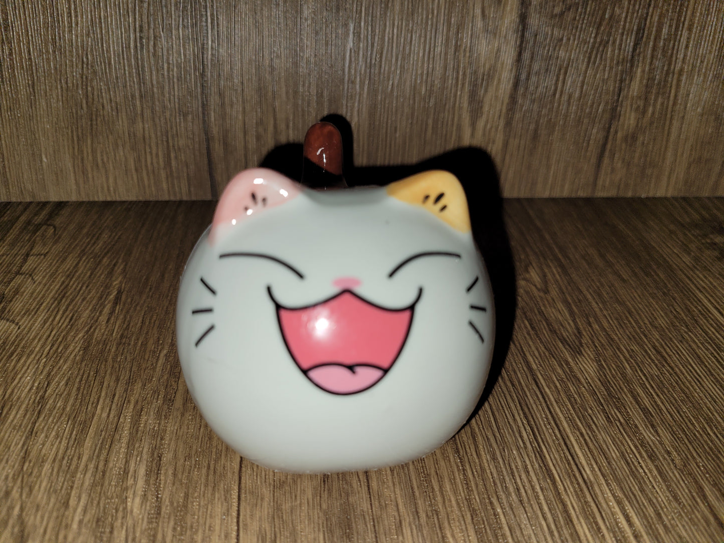 Large Anime Cat Container