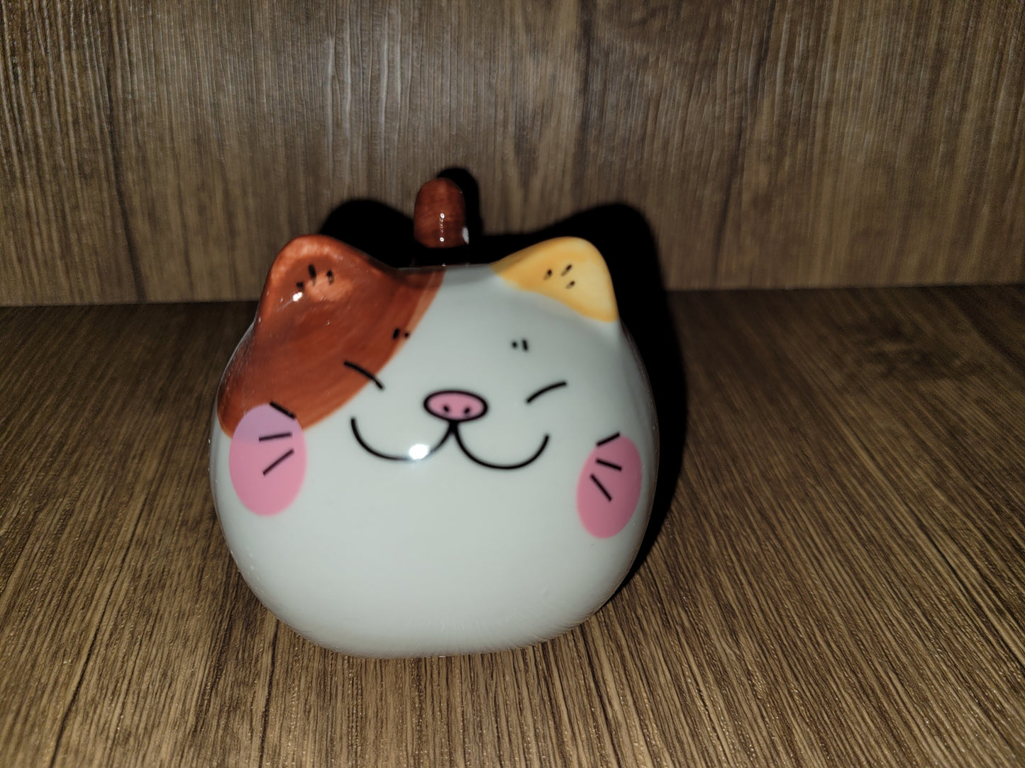 Large Anime Cat Container