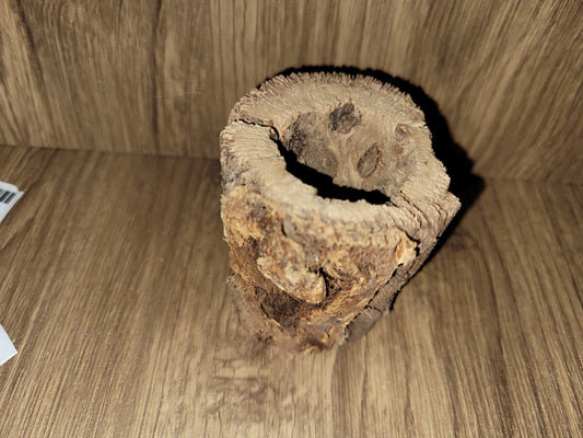 Cholla Wood
