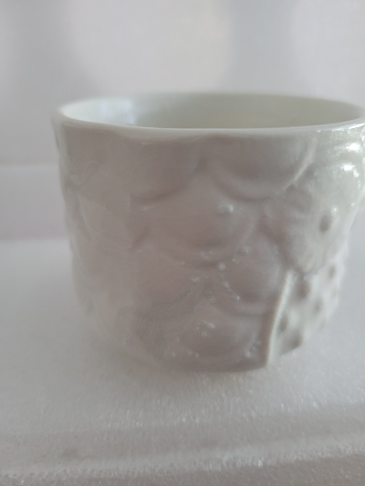 White Owl Air Plant Succulent Pot 05