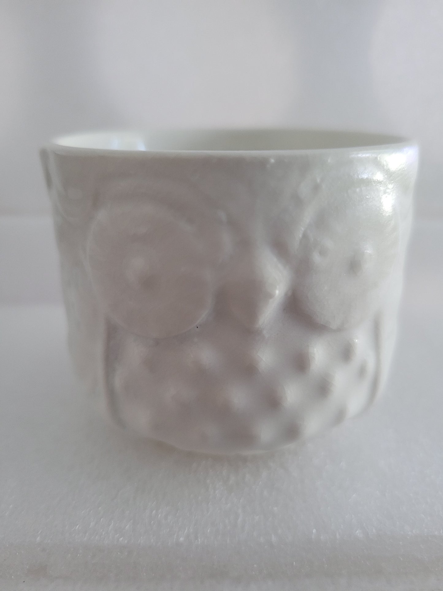 White Owl Air Plant Succulent Pot 05